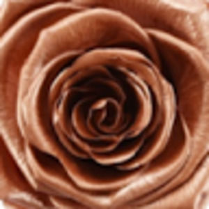 Meet your Posher, Sky